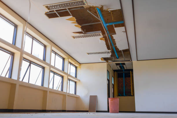 Best Sewage cleanup and water damage restoration  in Moss Beach, CA
