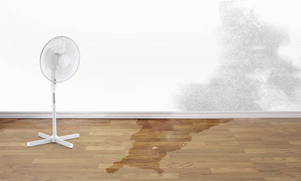 Professional Water damage restoration in Moss Beach, CA