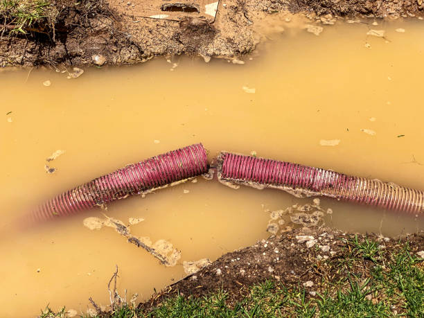 Best Water damage contractors near me  in Moss Beach, CA